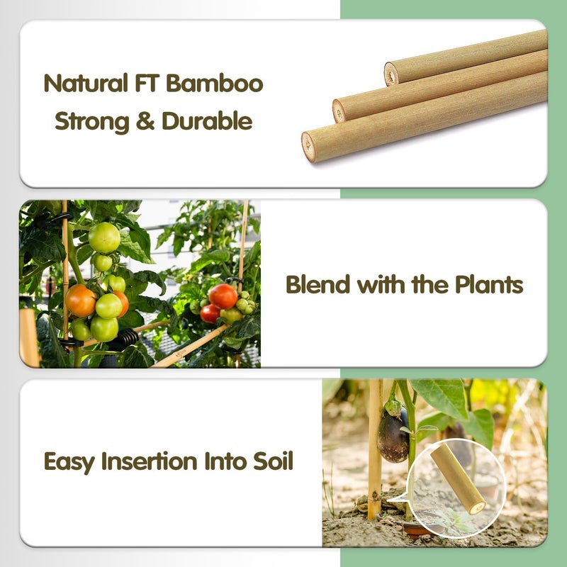 BOVITRO Bamboo Stakes,4FT Natural Bamboo Garden Stakes, 25Pcs Plant Stakes,Bamboo Sticks for Tomato,Beans,Vegetable and Climbing Plants - Image 2